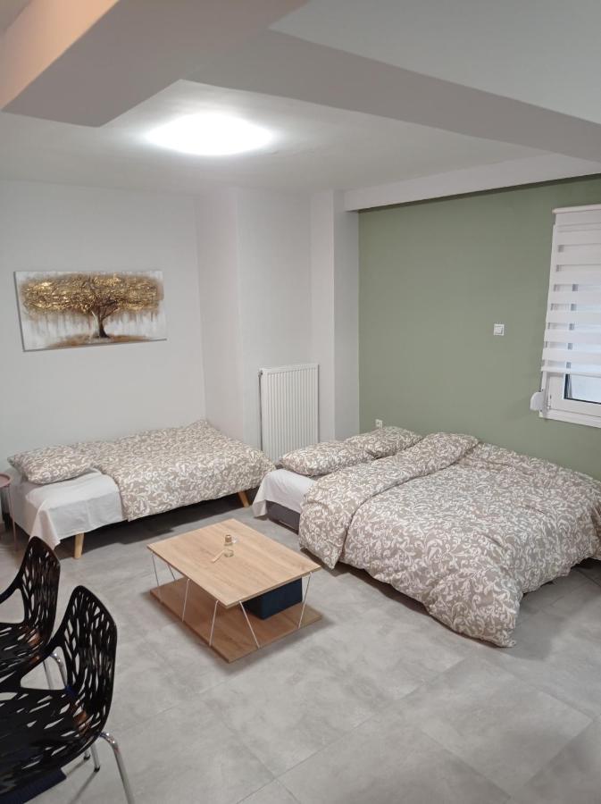 Central Home Trikala  Bagian luar foto